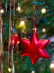 Christmas tree with red star, isolated on green blur background.