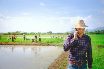 Young handsome farmer in rice field, And hold Smartphone.