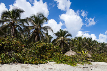 Fototapeta na wymiar Sunshade on the tropical beach at Tayrona, Colombia
