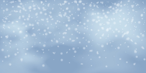 Fototapeta premium Snowflakes, snowfall.