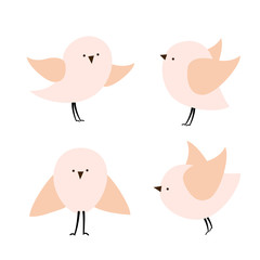 set of little cute birds in various poses. Vector illustration isolated in trendy flat cartoon style.