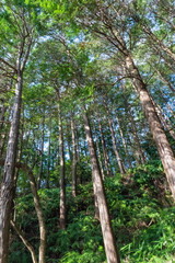 アウトドアイメージ