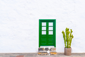 large potted cactus plant against white wall with green door