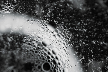 rain drops on window