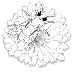 Vector illustration of honey bee on white background. Coloring image