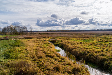 Narwiański Park Narodowy, Topilec, Podlasie, Polska © podlaski49