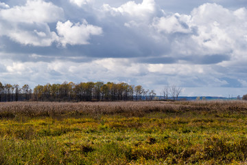Narwiański Park Narodowy, Topilec, Podlasie, Polska © podlaski49