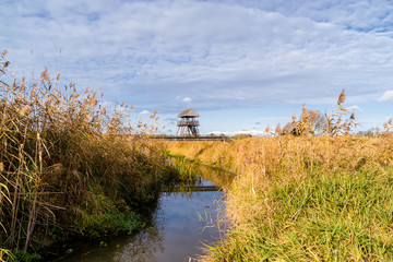 Narwiański Park Narodowy, Topilec, Podlasie, Polska © podlaski49