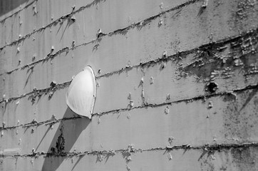 Wall of an abandoned building