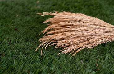 Group of dried flower put on background
