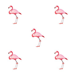 Obraz premium image of pink flamingo on a white background