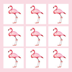 image of a pink flamingo on a pink background