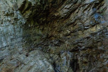 rocas