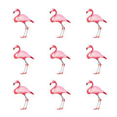 image of pink flamingo on a white background