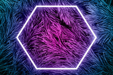 Natural background from coniferous branches with long needles. Neon colors and hexagon luminous...