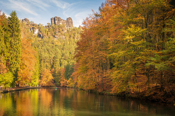 Herbst in den Wäldern