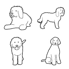 Barbet Animal Vector Illustration Hand Drawn Cartoon Art