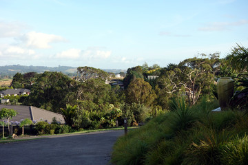 lovely green neighbourhood near auckland new zealand