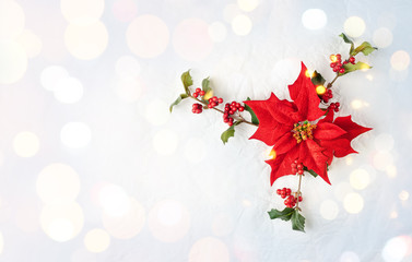 Christmas decoration with poinsettia flowers and holly berry on white background. Festive winter holiday concept.