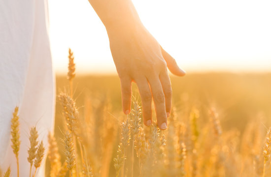 harvesting, nature, agriculture and prosperity concept - young woman on cereal field touching ripe wheat spickelets by her hand