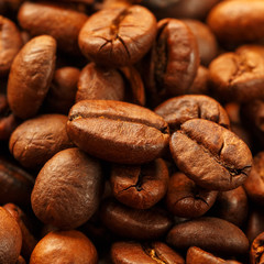 Fresh and aromatic roasted coffee beans, can be used as background.