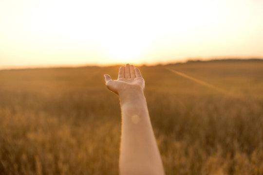 harvesting, nature, agriculture and prosperity concept - hand of young woman on cereal field