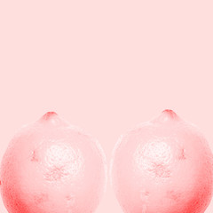 pink lemon nipples on minimal background, funny graphic