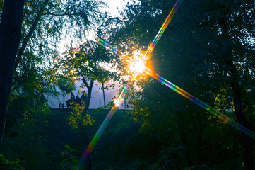 The sun's rays shine through the trees in the park in the fall.