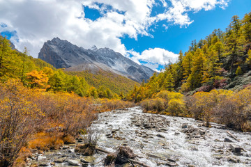 The last Shangri la, Daocheng-yading, Beautiful Scenic of Yading Natural Reserve, Daocheng , Sichuan, China