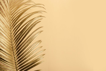 Curving palm leaf and its shadow. Monochrome natural background in sand yellow colors