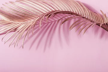 Geschwungenes goldenes Blatt und sein Schatten auf rosa Hintergrund © colnihko