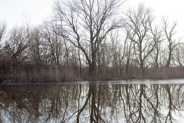 winter landscape with river and trees