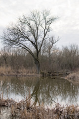 frozen lake in winter