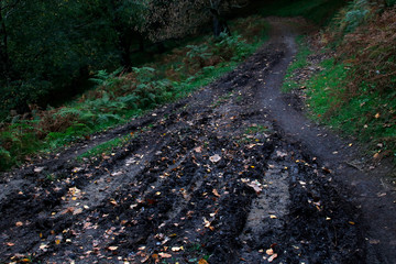 Path in the countryside