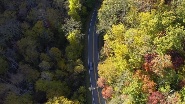 An aerial look down view of a road through a fall forest with two cars passing by.
