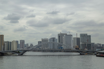 Fototapeta premium Tokio Urban Landscape 02