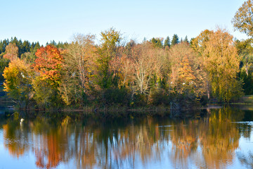 A fall day with trees reflecting in a lake
