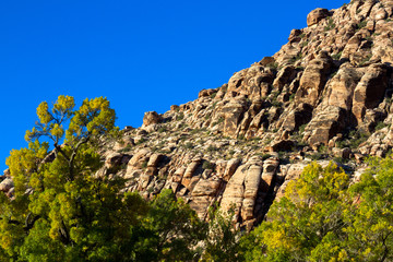 View from the Red Spring Boardwalk off Calico Basin Road inside Red Rock Canyon in Nevada