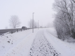 Road traffic in low visibility conditions. Landscape with fog, a snowy roadside, and the pathway during winter. Early morning to a daytime hour.