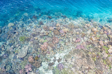 Fototapeta na wymiar An aerial view of healthy corals being exposed at low tide in Indonesia. This region is known to harbor extraordinary marine biodiversity and is a popular scuba diving and snorkeling destination.
