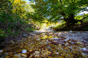 Abruzzo national park