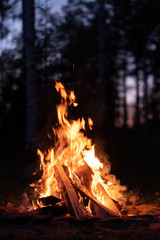 Burning campfire in chilly autumn evening