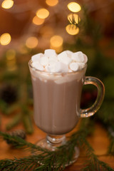 Cacao drink in a glass with marshmallow on the background of bokeh lights, hot Christmas drink