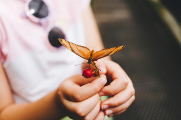 close up of butterfly in the hands of a little girl
