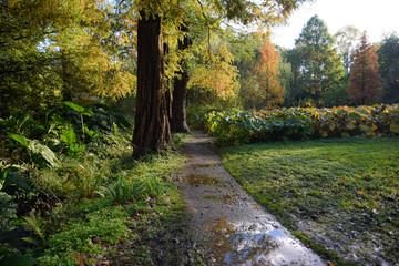 path in the park
