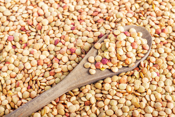 wooden spoon with lentils on the background of grains