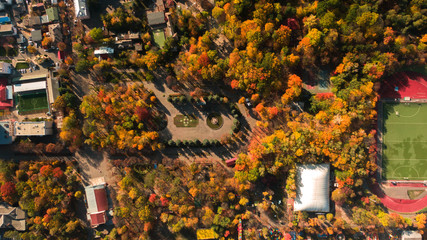 Autumn aerial top down view of Park area