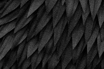 Black feathers closeup, background texture abstraction.