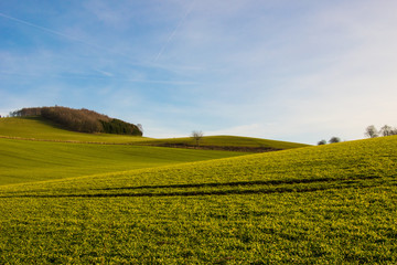 Fototapeta premium landscape with hills, trees and blue sky