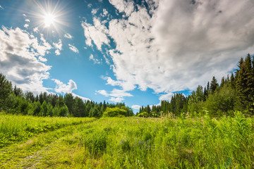 Landscape with green meadow on a hill surrounded by forest, rural road stretching into the distance, sun with rays on a blue sky with clouds.